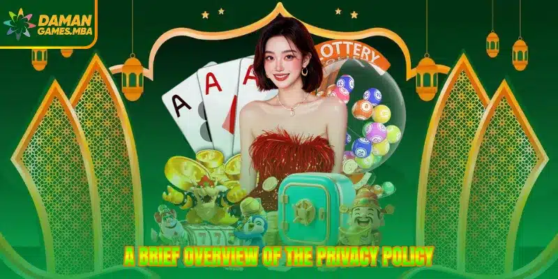 A brief overview of the privacy policy