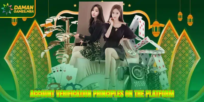 Account verification principles on the platform