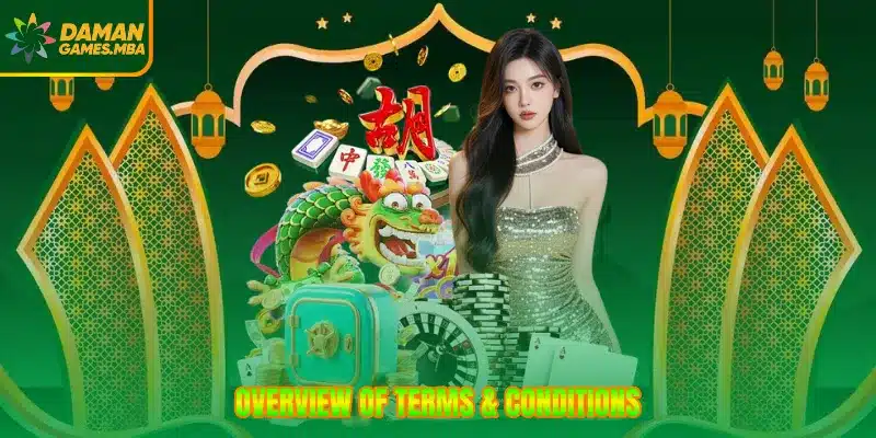 Overview of terms & conditions